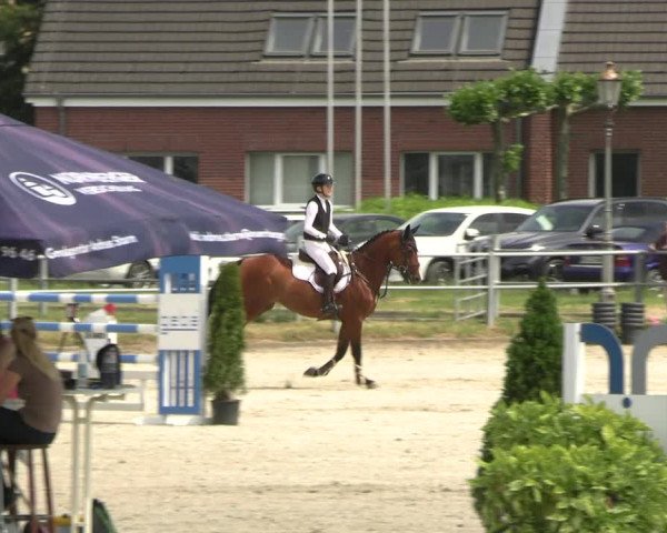 Reitturnier Langenfeld - Gut Langfort 2023