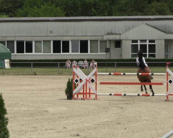 Reitturnier Langenfeld - Gut Langfort 2023