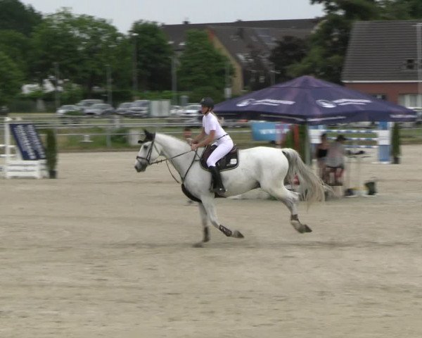 Reitturnier Langenfeld - Gut Langfort 2023