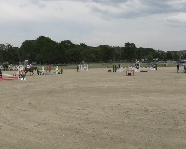 Reitturnier Langenfeld - Gut Langfort 2023