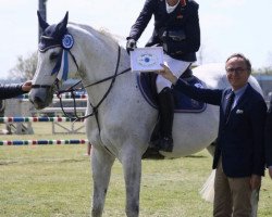 jumper Columbus G (Slovenian Warmblood, 2010)