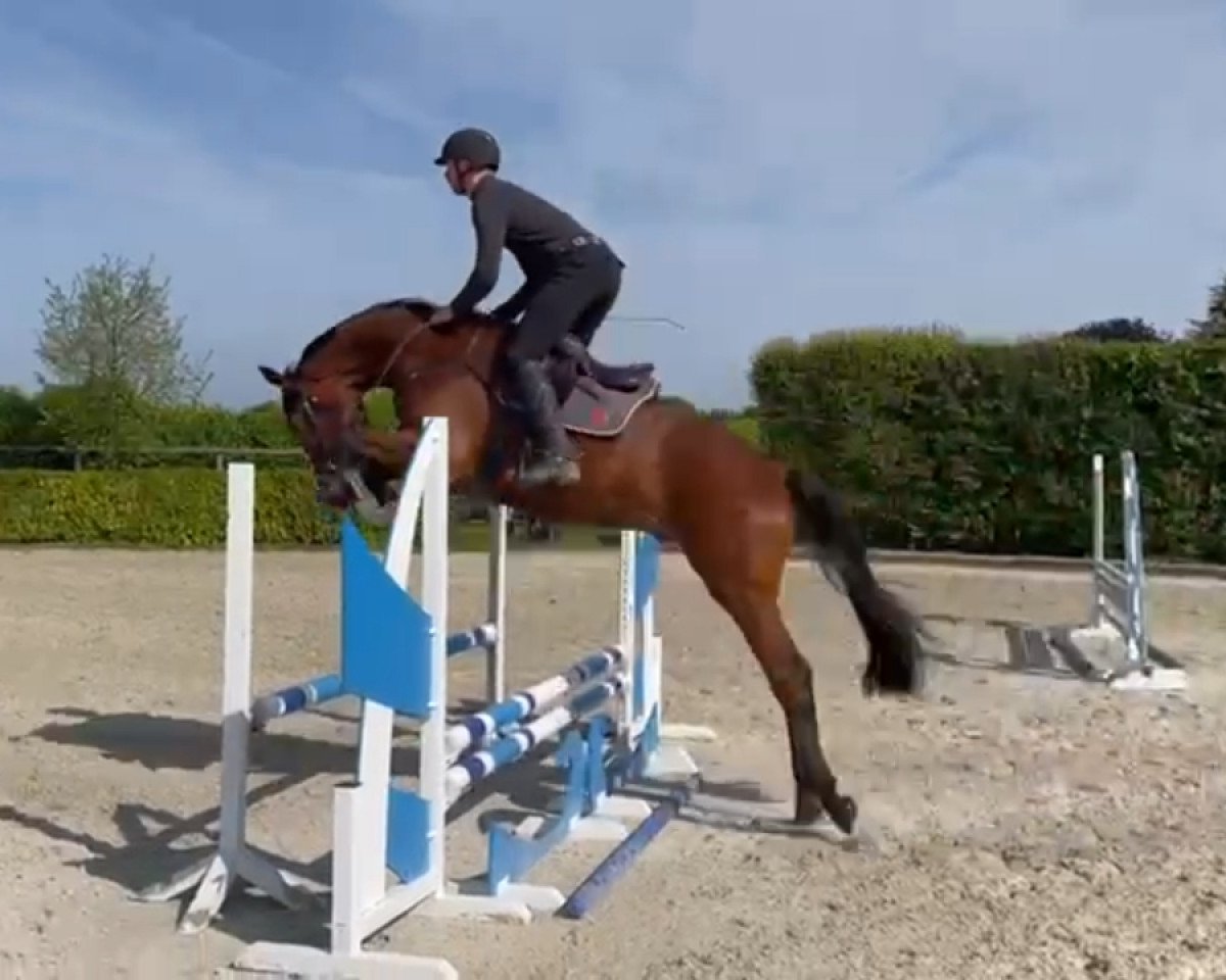 jumper Curtis (Rhinelander, 2019, from Chacgrano)
