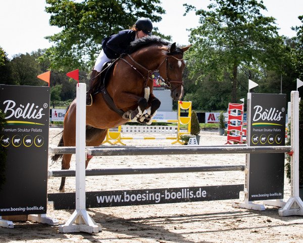 jumper Evita M 3 (Oldenburg show jumper, 2013, from Eldorado van de Zeshoek)