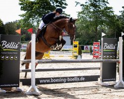 jumper Evita M 3 (Oldenburg show jumper, 2013, from Eldorado van de Zeshoek)