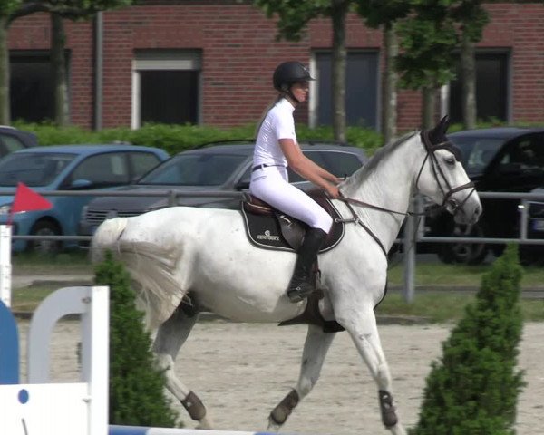 Reitturnier Langenfeld - Gut Langfort 2023