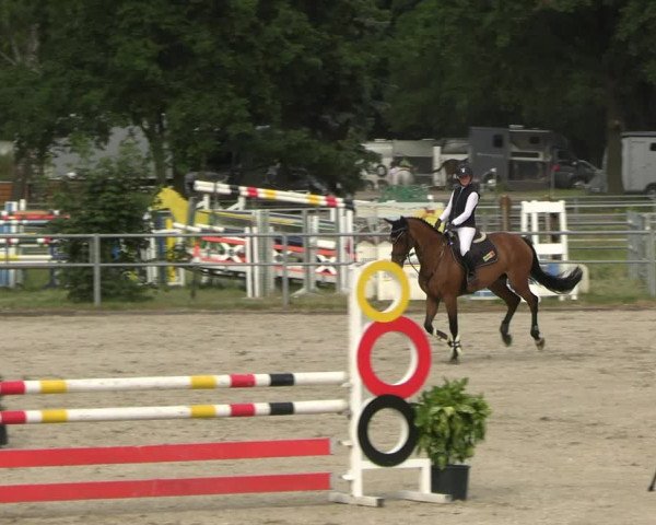Reitturnier Langenfeld - Gut Langfort 2023