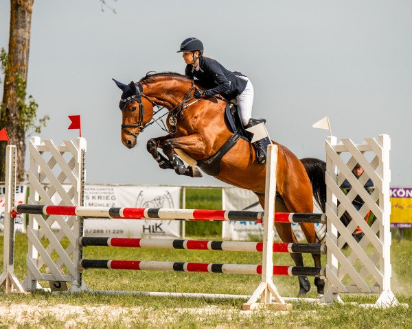 jumper La' Doriana (anglo european sporthorse, 2016, from Landrover)