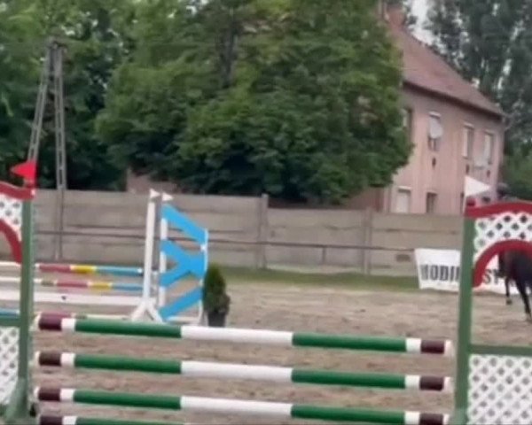 Video of Luigi's beauty
