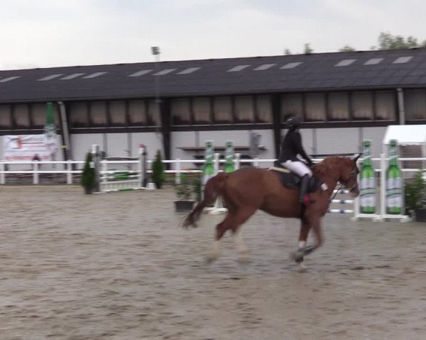 Reitturnier Dortmund-Somborn 2023