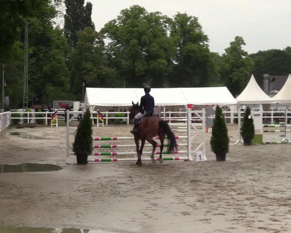 Reitturnier Dortmund-Somborn 2023