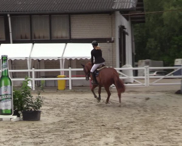 Reitturnier Dortmund-Somborn 2023