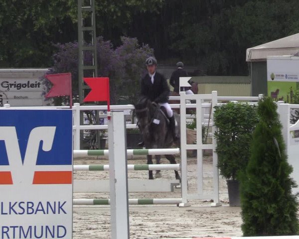 Reitturnier Dortmund-Somborn 2023