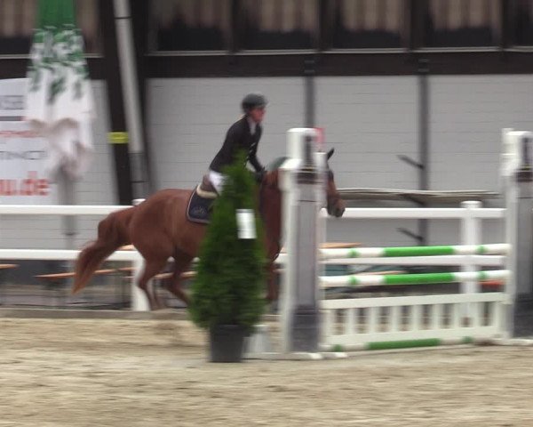 Reitturnier Dortmund-Somborn 2023