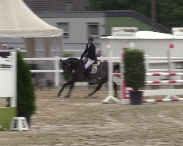 Reitturnier Dortmund-Somborn 2023