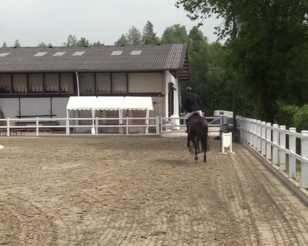 Reitturnier Dortmund-Somborn 2023
