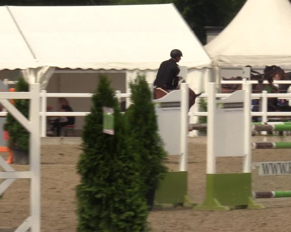 Reitturnier Dortmund-Somborn 2023