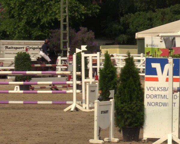 Reitturnier Dortmund-Somborn 2023