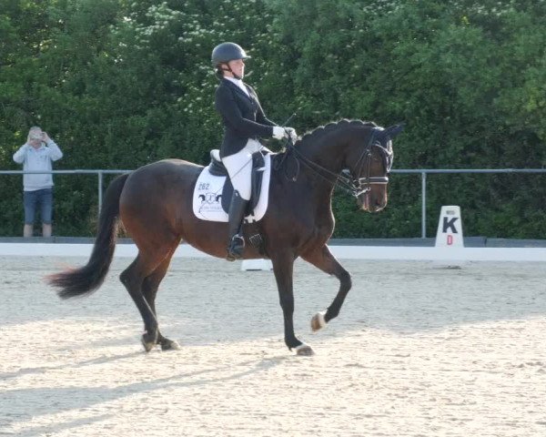 Reitturnier Blaubeuren 2023