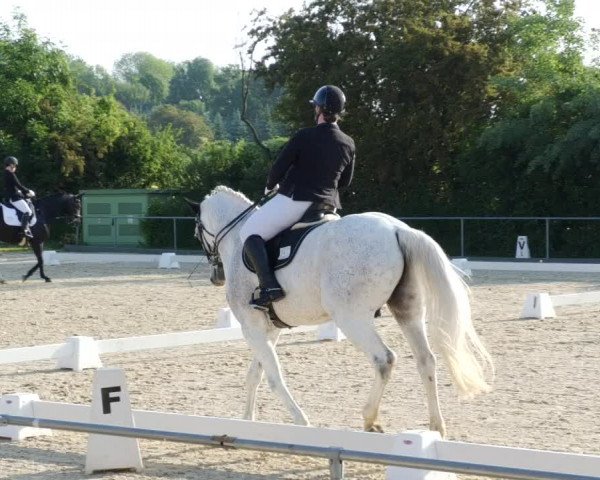 Reitturnier Blaubeuren 2023