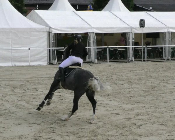 Reitturnier Ostenfelde-Vornholz 2023