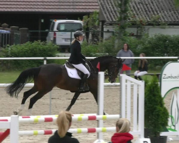 Reitturnier Ostenfelde-Vornholz 2023