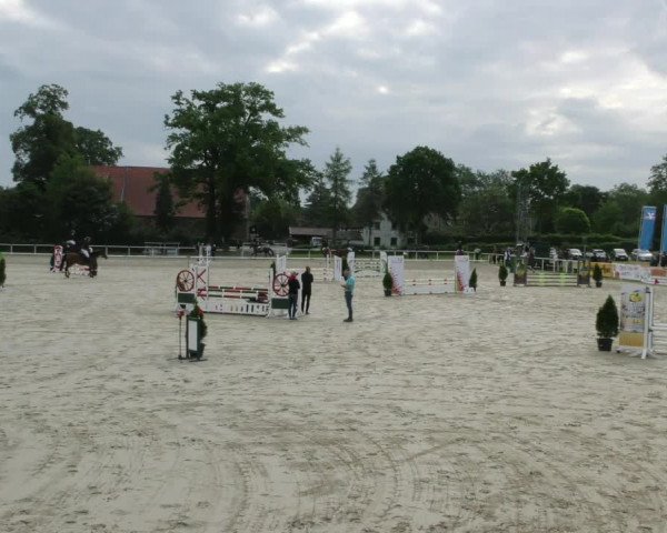 Reitturnier Ostenfelde-Vornholz 2023
