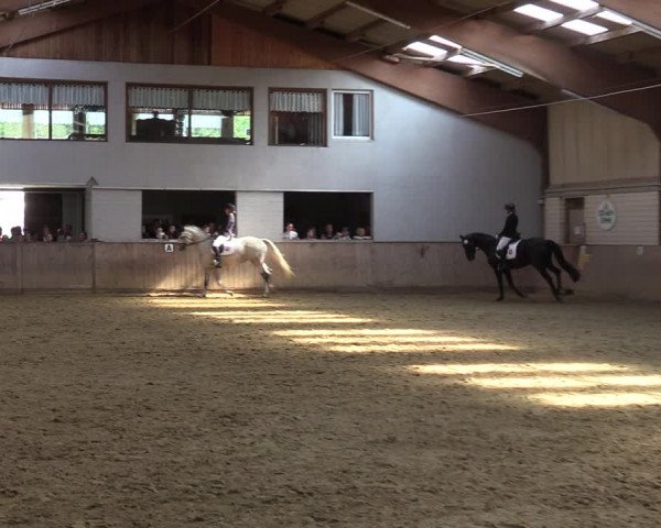 Reitturnier Dortmund-Somborn 2023