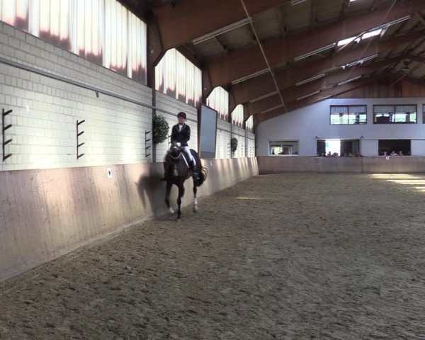 Reitturnier Dortmund-Somborn 2023