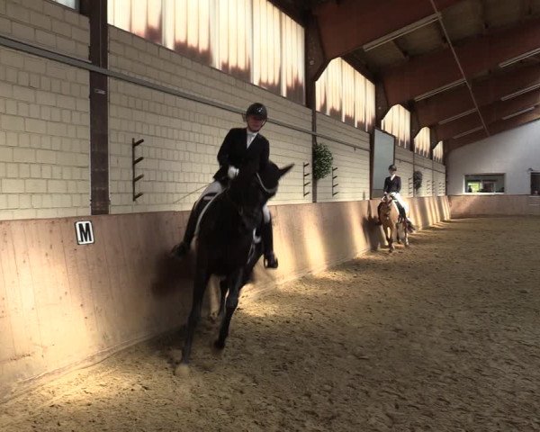 Reitturnier Dortmund-Somborn 2023