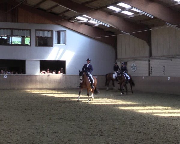 Reitturnier Dortmund-Somborn 2023
