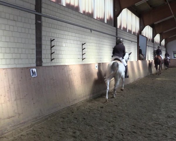 Reitturnier Dortmund-Somborn 2023