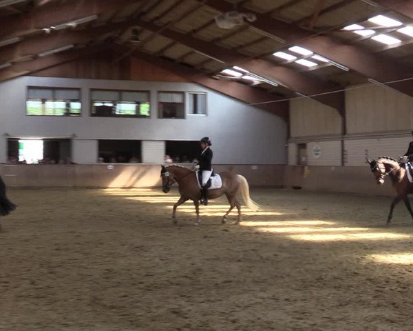 Reitturnier Dortmund-Somborn 2023