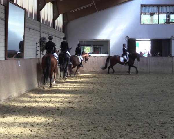 Reitturnier Dortmund-Somborn 2023