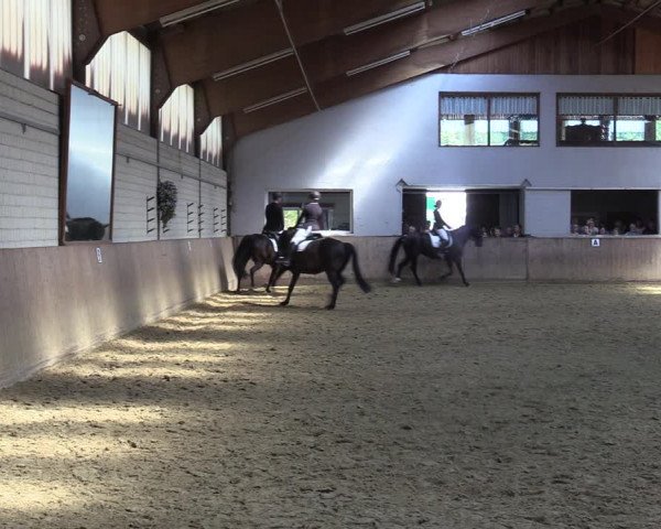 Reitturnier Dortmund-Somborn 2023