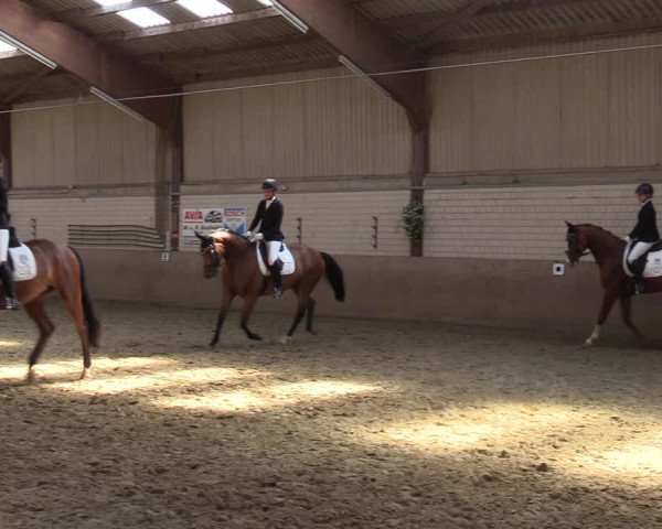 Reitturnier Dortmund-Somborn 2023