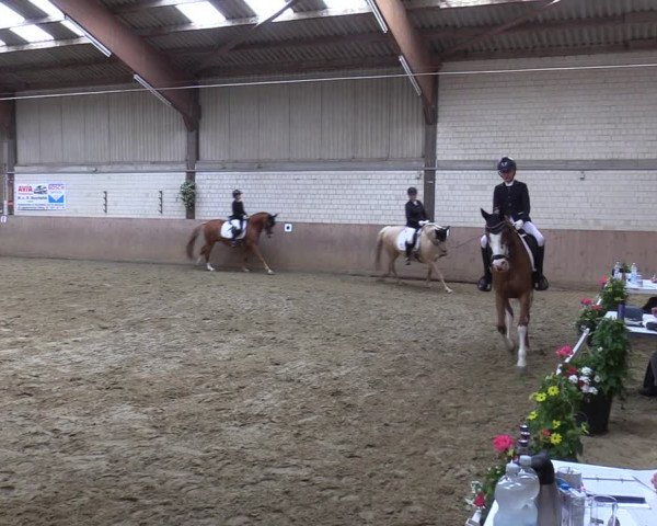 Reitturnier Dortmund-Somborn 2023