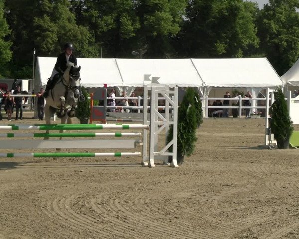 Reitturnier Dortmund-Somborn 2023