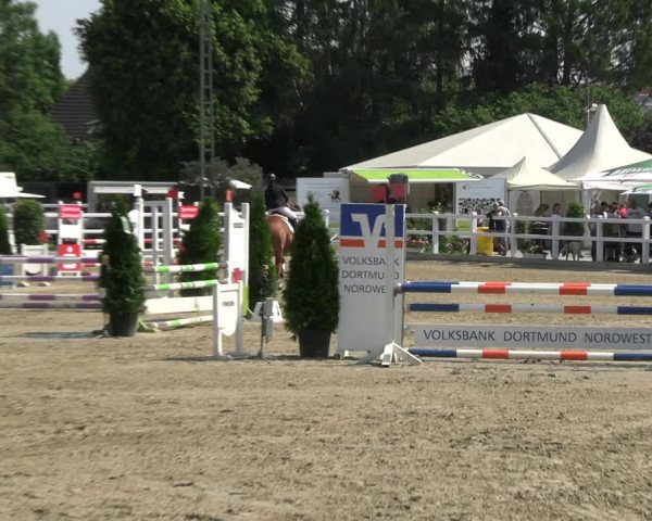 Reitturnier Dortmund-Somborn 2023