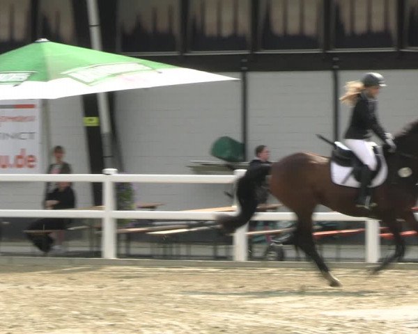 Reitturnier Dortmund-Somborn 2023