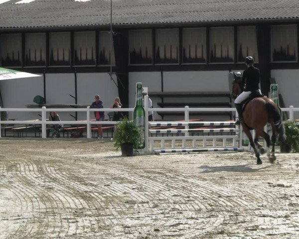 Reitturnier Dortmund-Somborn 2023