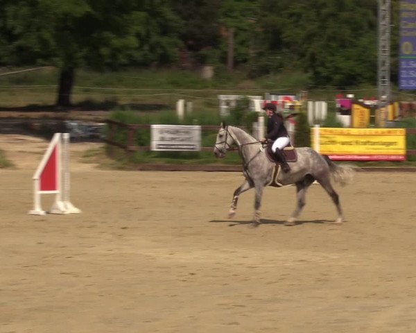 Reitturnier Schönfeld 2023