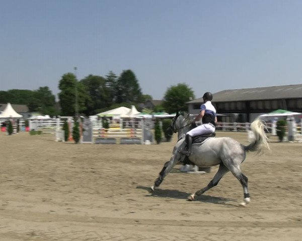 Reitturnier Dortmund-Somborn 2023