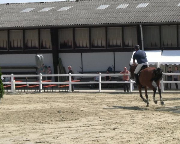 Reitturnier Dortmund-Somborn 2023