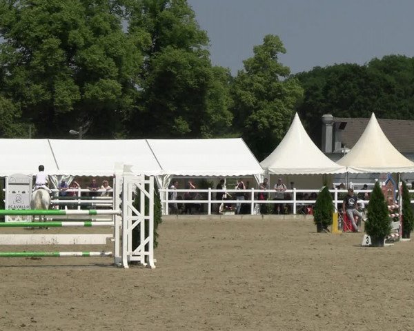 Reitturnier Dortmund-Somborn 2023