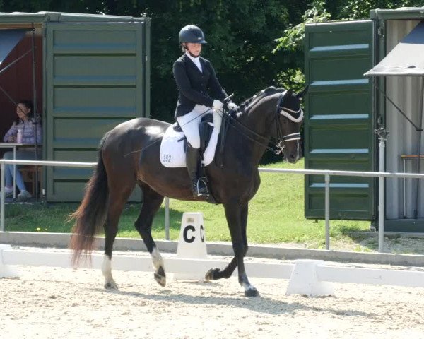 Reitturnier Blaubeuren 2023