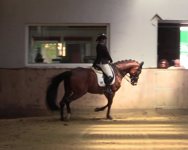 Reitturnier Dortmund-Somborn 2023