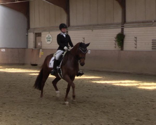 Reitturnier Dortmund-Somborn 2023