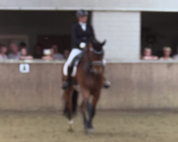 Reitturnier Dortmund-Somborn 2023