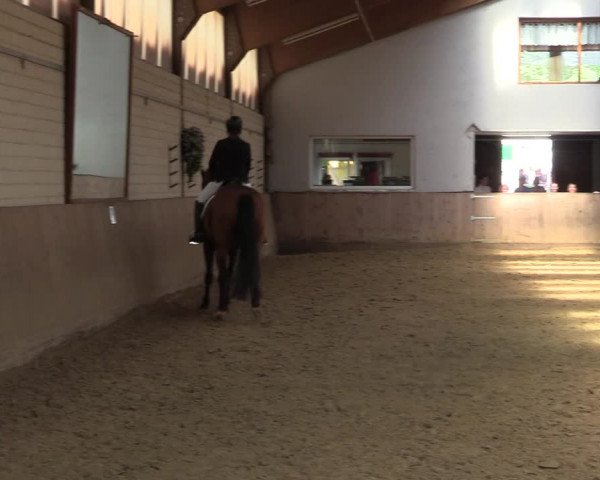 Reitturnier Dortmund-Somborn 2023