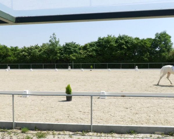 Reitturnier Blaubeuren 2023